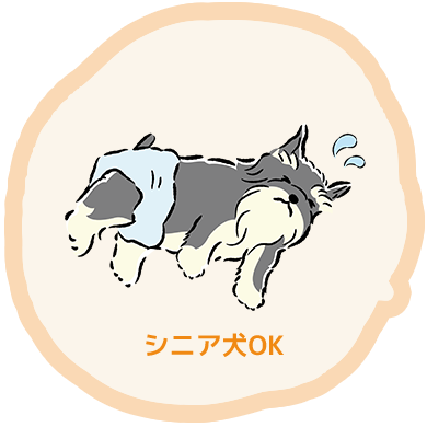 シニア犬OK 